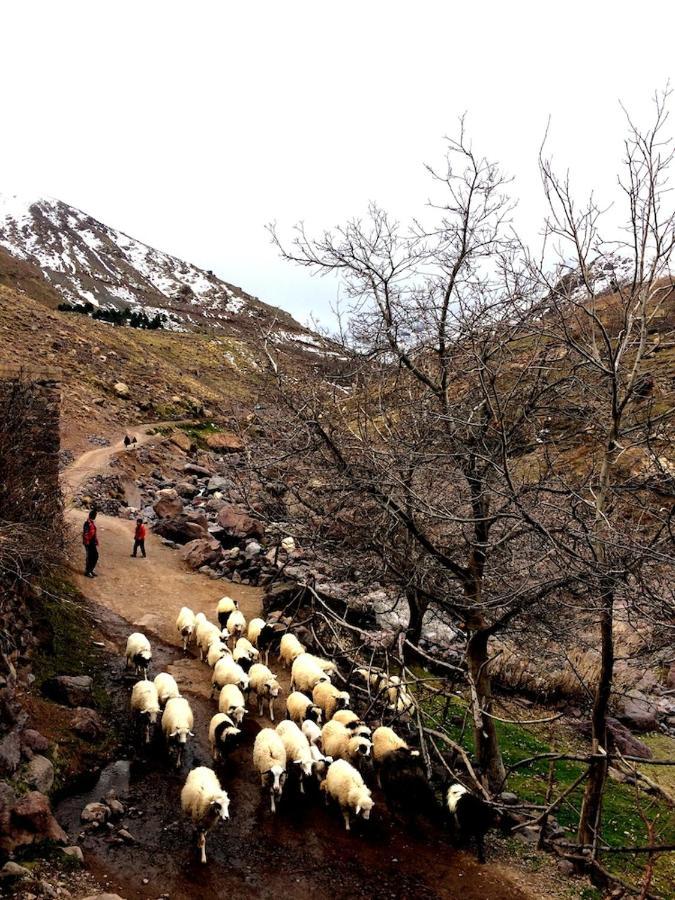 Gite Entre Les Vallees Tacheddirt Esterno foto